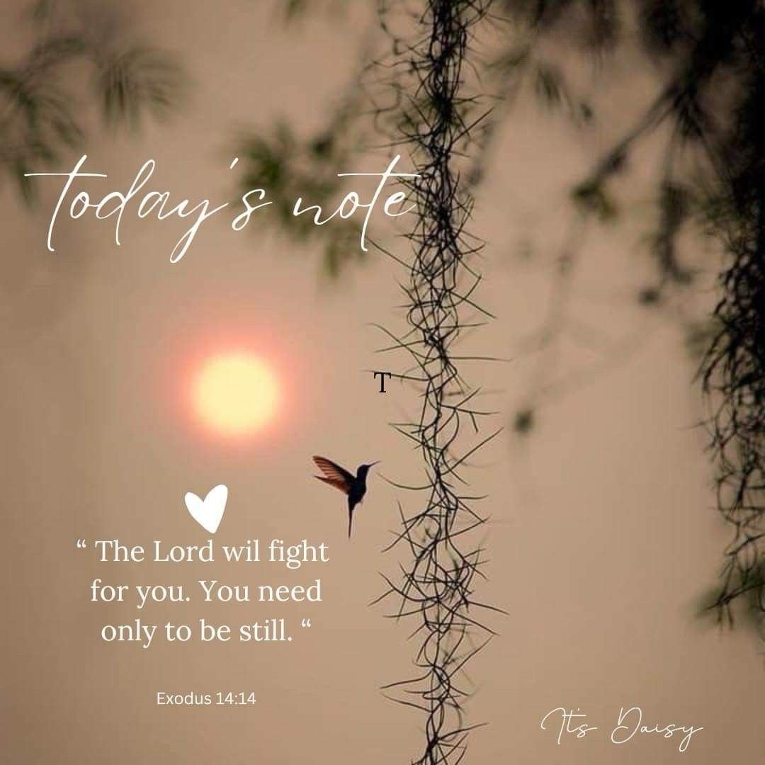 Be still and Let Go – Donna Pool ~ His Way